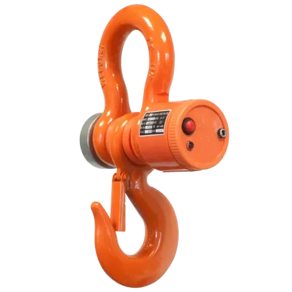 Digitale Kranwaage KWC1