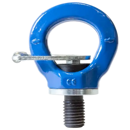 Ringschraube GK10 Typ RSND2