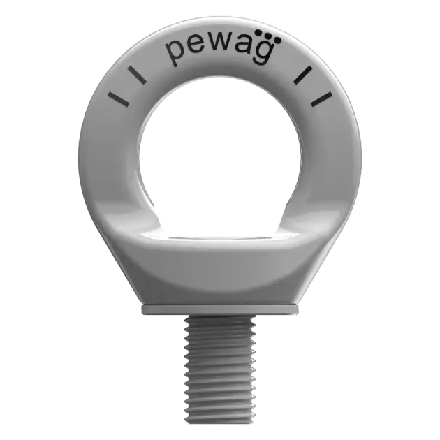 Ringschraube Typ RSPE inox
