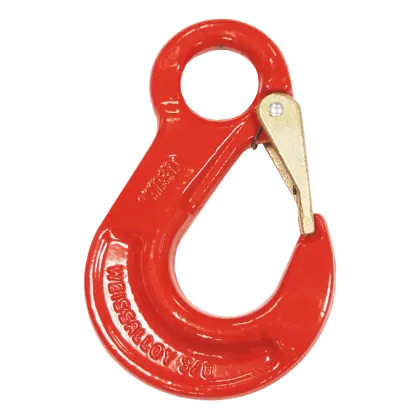 Lasthaken GK8 mit Öse und Sicherheitsverschluß